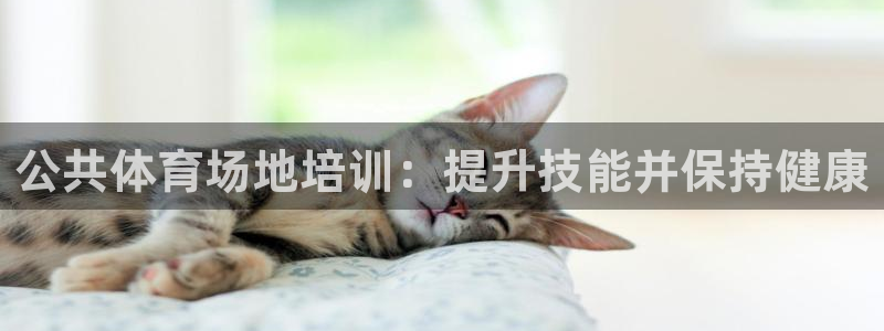 尊龙AG旗舰厅app下载：公共体育场地培训：提升技能