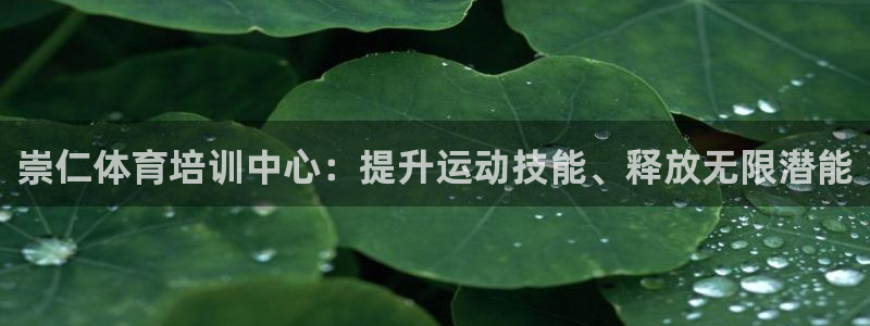 尊龙凯时平台不给出款怎么办：崇仁体育培训中心：提升运