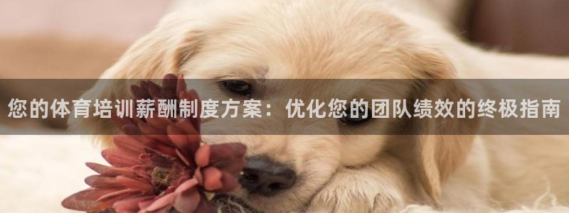 尊龙凯时赢不了：您的体育培训薪酬制度方案：优化您的团队绩效的