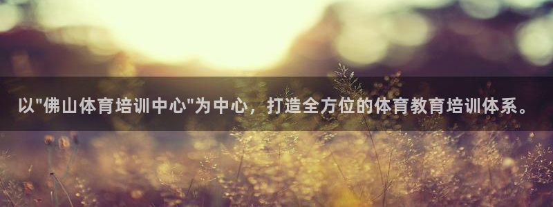 尊龙t600怎么样