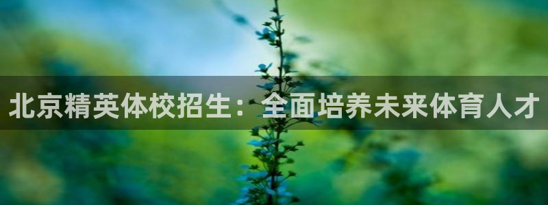 z6尊龙凯时