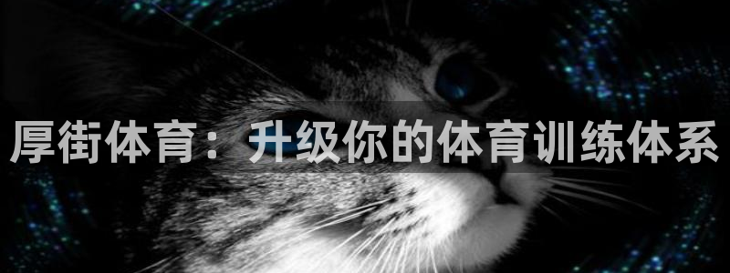 尊龙人生就是博D88