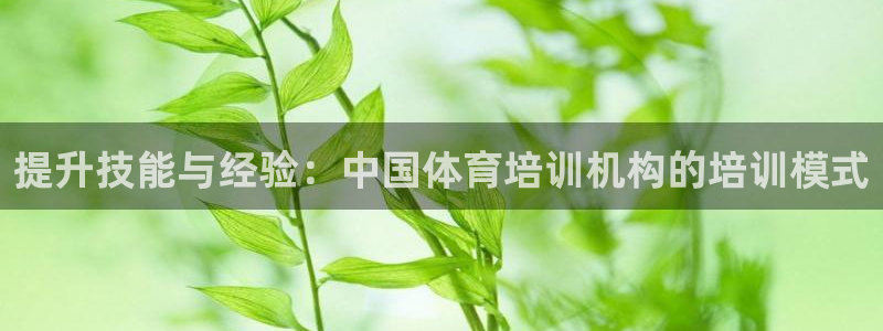 尊龙凯时网站怎么样
