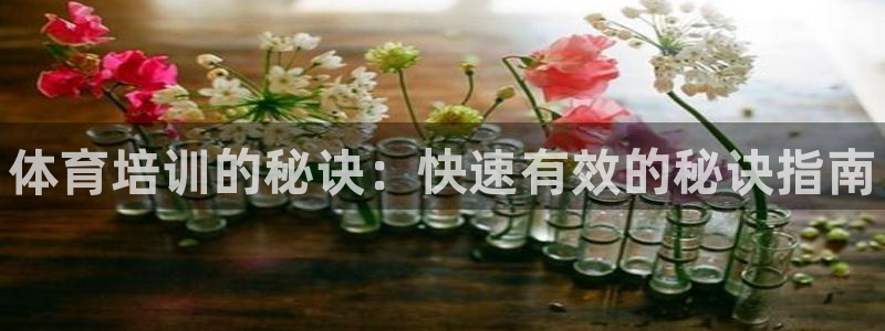 凯时平台登录：体育培训的秘诀：快速有效的秘诀指南