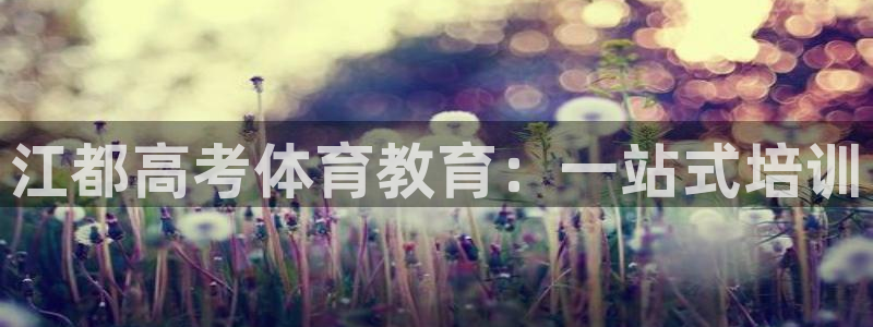 尊龙人生就是博旧版现金娱乐一下